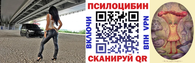 гидра онион  Касли  Галлюциногенные грибы Psilocybine cubensis 